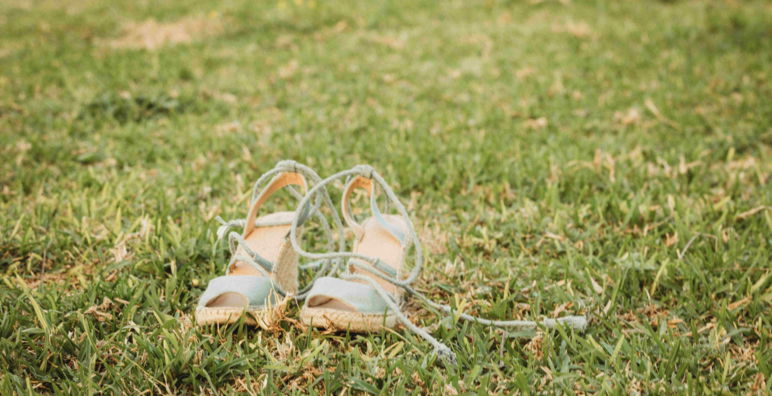 wedges in pasture