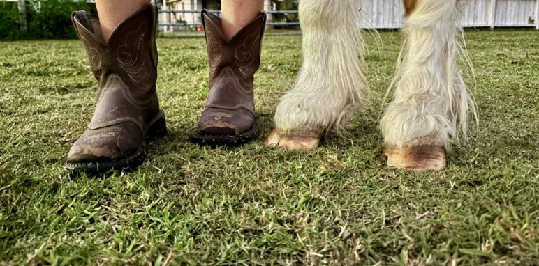 girl and mini horse hooves